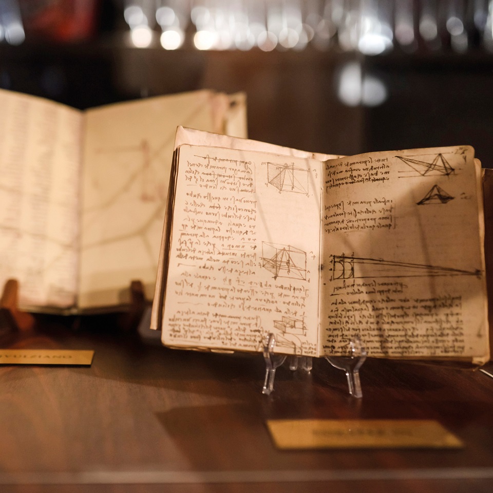 Codices books of notes and sketches that remain the primary insight to Leonardo's genius