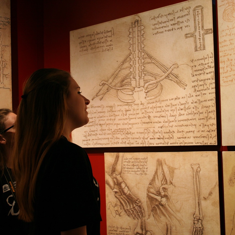 Leonardo was fascinated by the mechanics of the human body. His detailed anatomical drawings inspired the style in Gray’s Anatomy, the most well-known anatomy textbook in the world