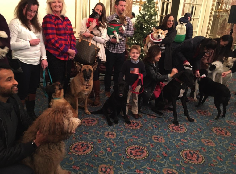 Carly with her four and two-legged friends at her birthday party last December