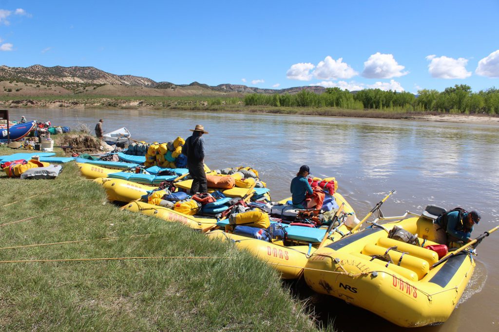rafting in dinosaur national monument