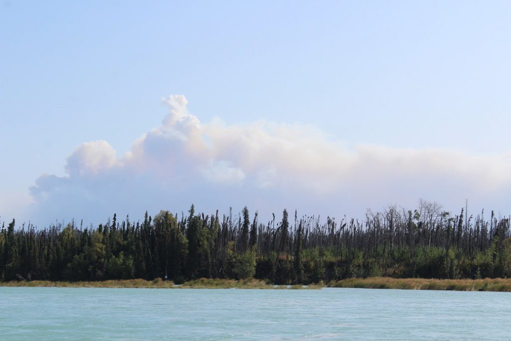 A billowing cloud of smoke from the Swan Lake Fire seen from the Kenai River