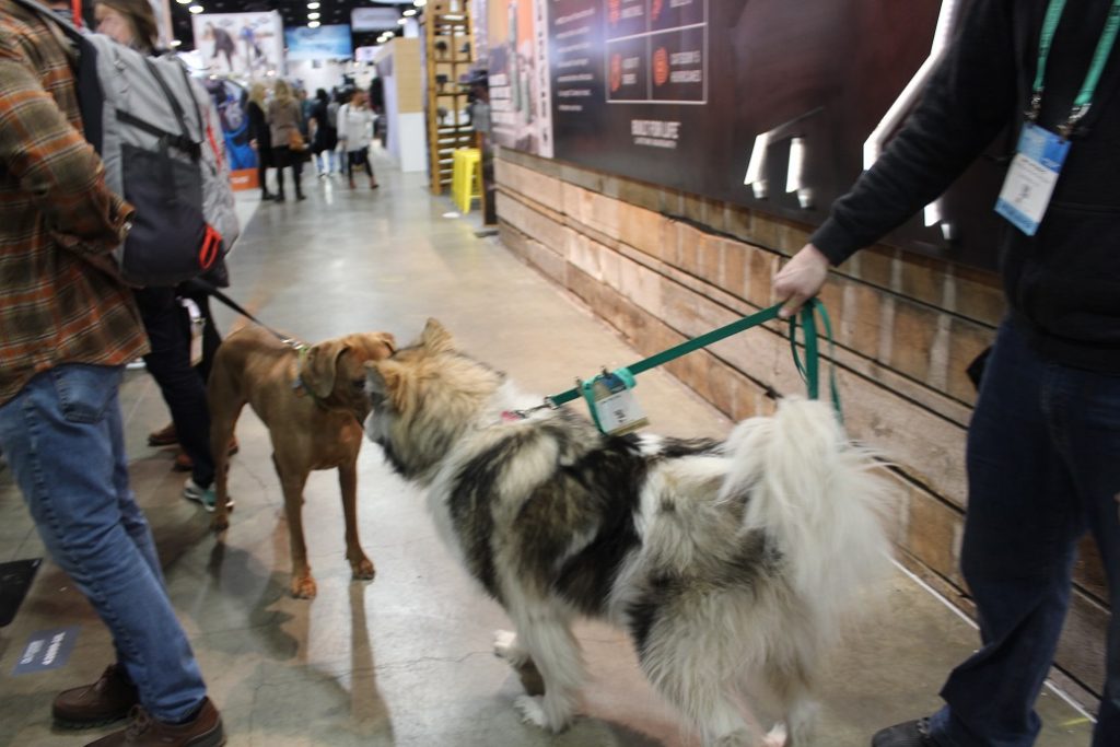 Doggos are welcome winter or summer at Outdoor Retailer and have frequent meetups in the aisles