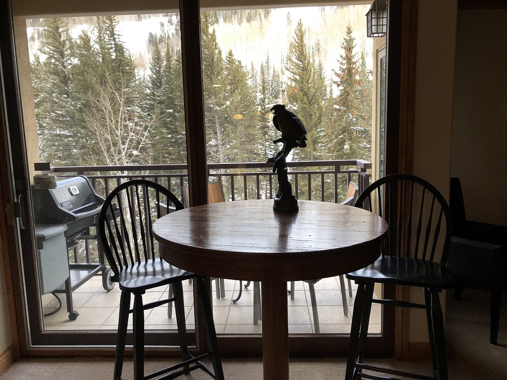 View from living room at The Antlers Vail