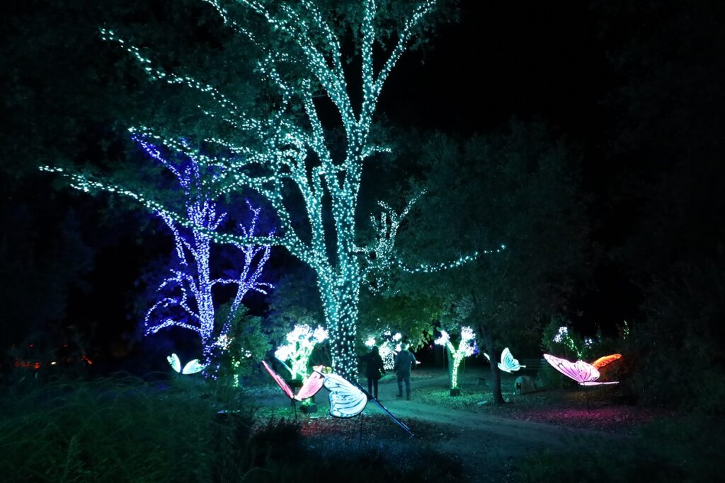 Garden of Lights in Redding CA